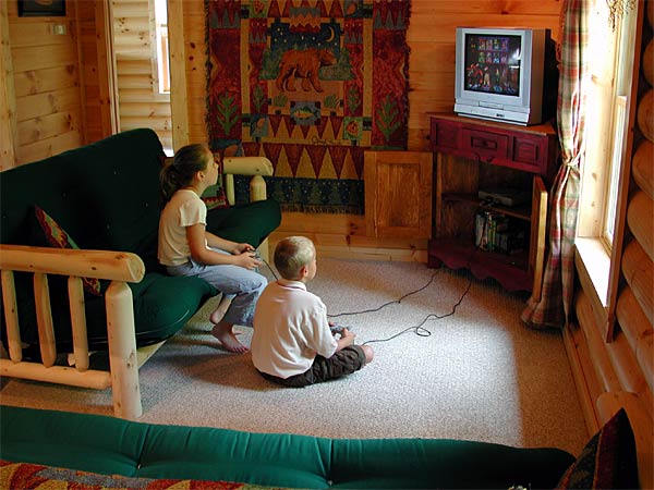 Lookout Lodge in Wears Valley